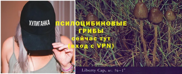 прущий лед Медногорск