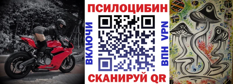 Псилоцибиновые грибы Cubensis  OMG как зайти  Хвалынск 
